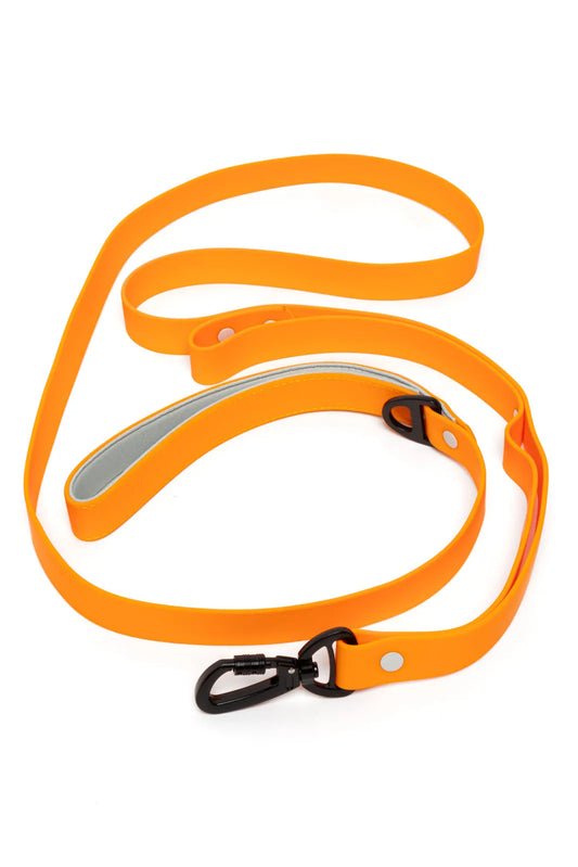 Crimson Glow Waterproof Dog Leash-0