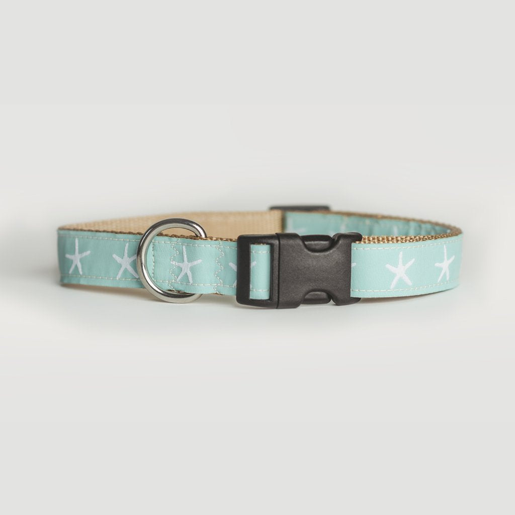 Sandy Neck Starfish Dog Collar