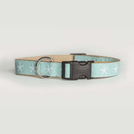 Sandy Neck Starfish Dog Collar