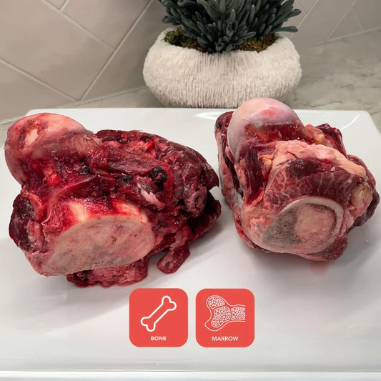 Femur + Full and 1/2 Beef Knuckle Bones