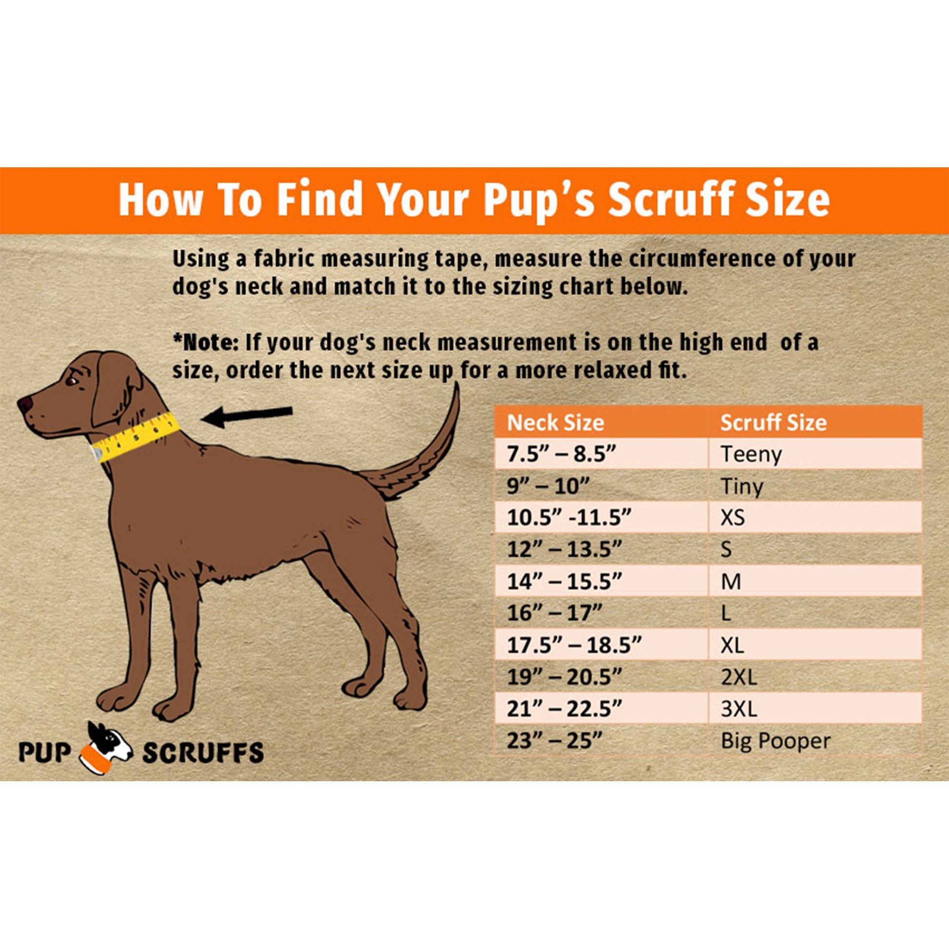 Water Dog Pup Scruff-4