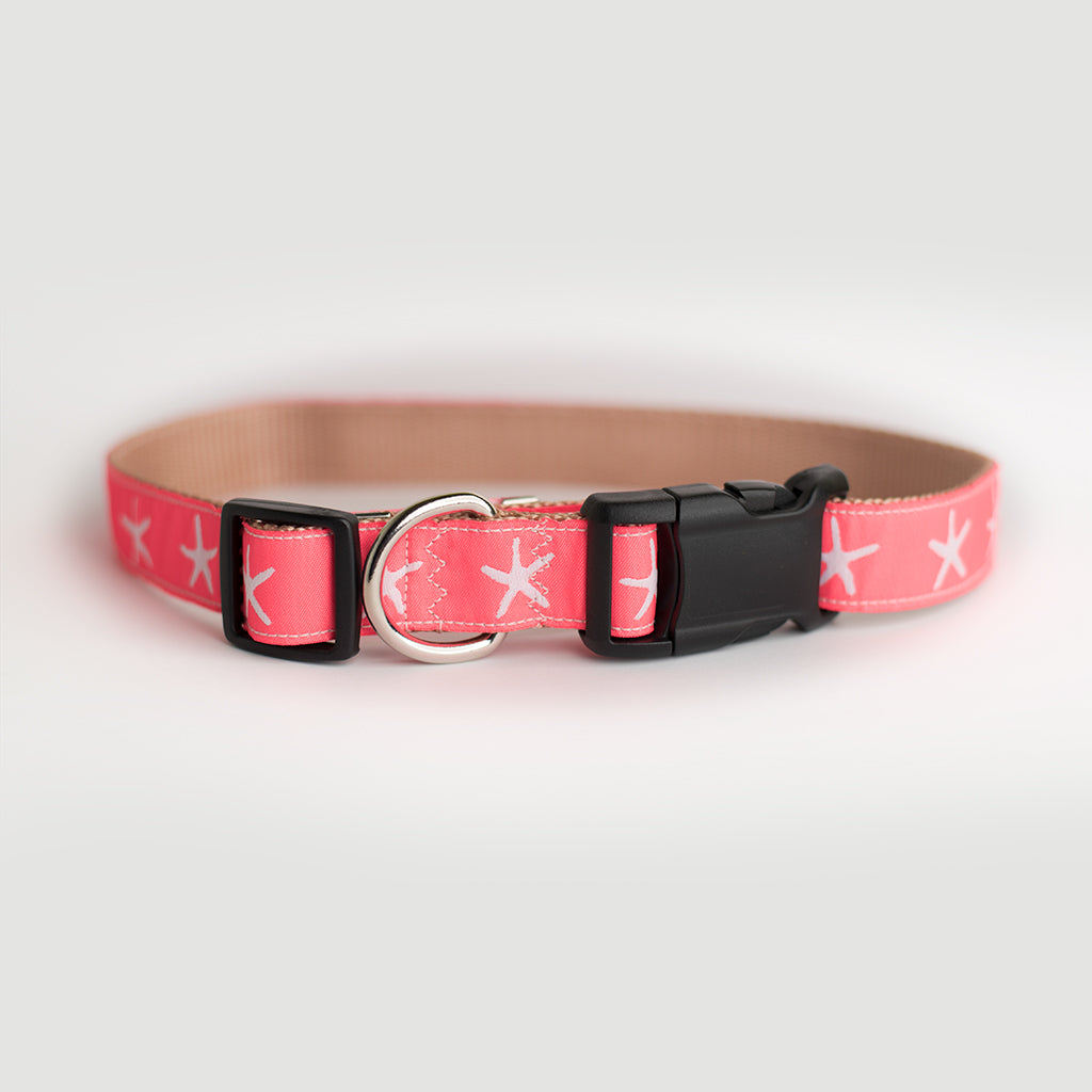 Sandy Neck Starfish Dog Collar